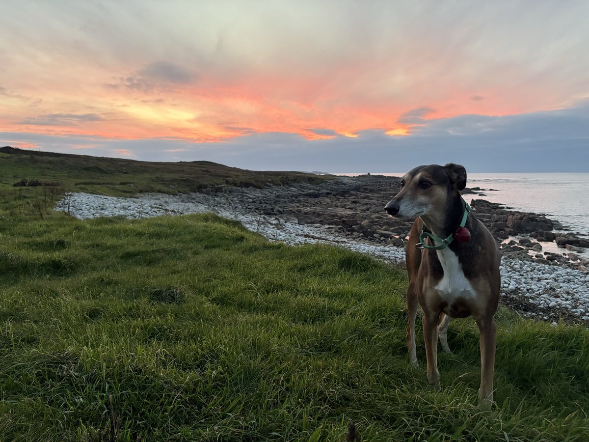 TeachCarraig's tweet image. The sunsetting over the Donegal Atlantic 🌅💚💛