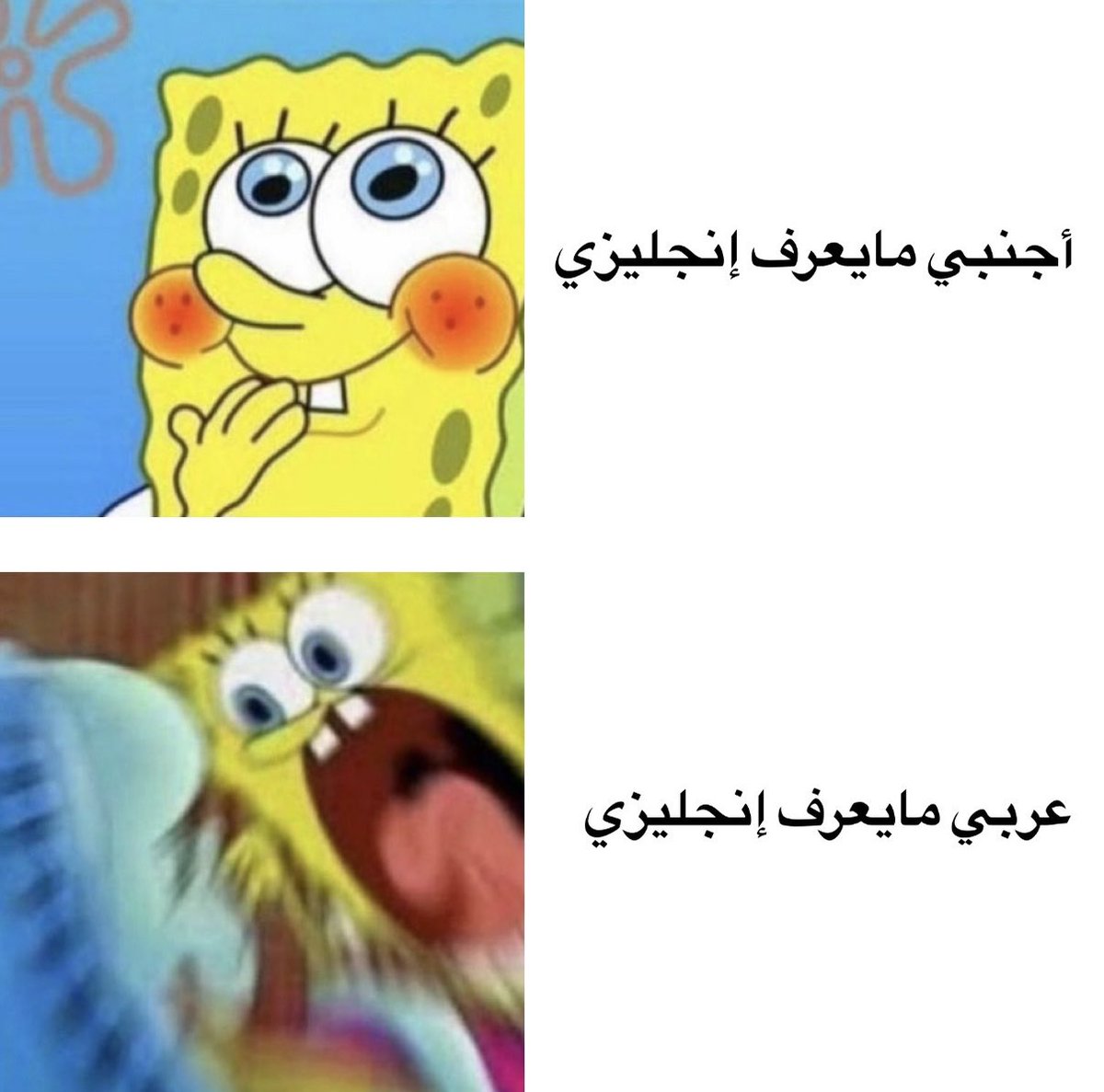 دراغـنوڤ tweet media