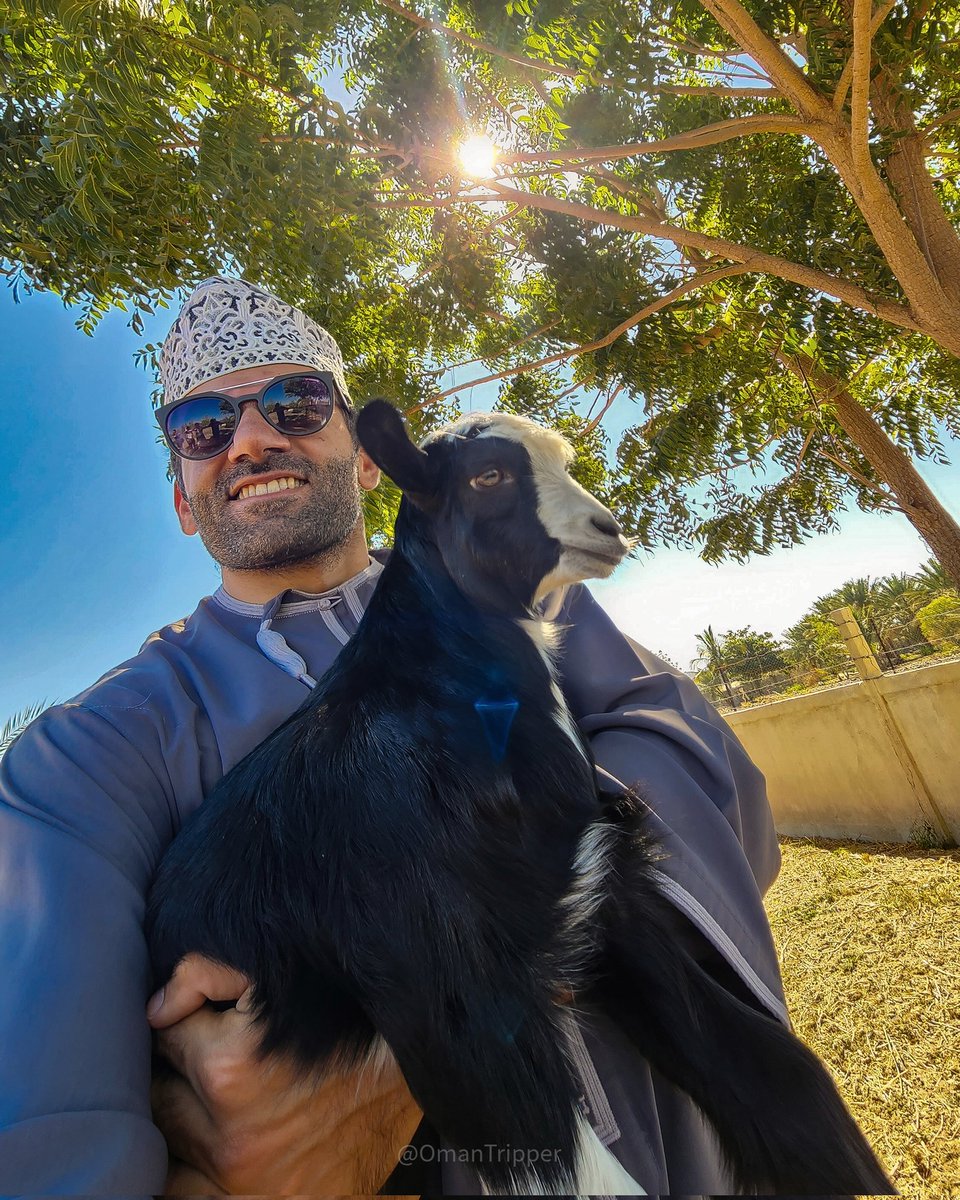 Ali | OmanTripper tweet media