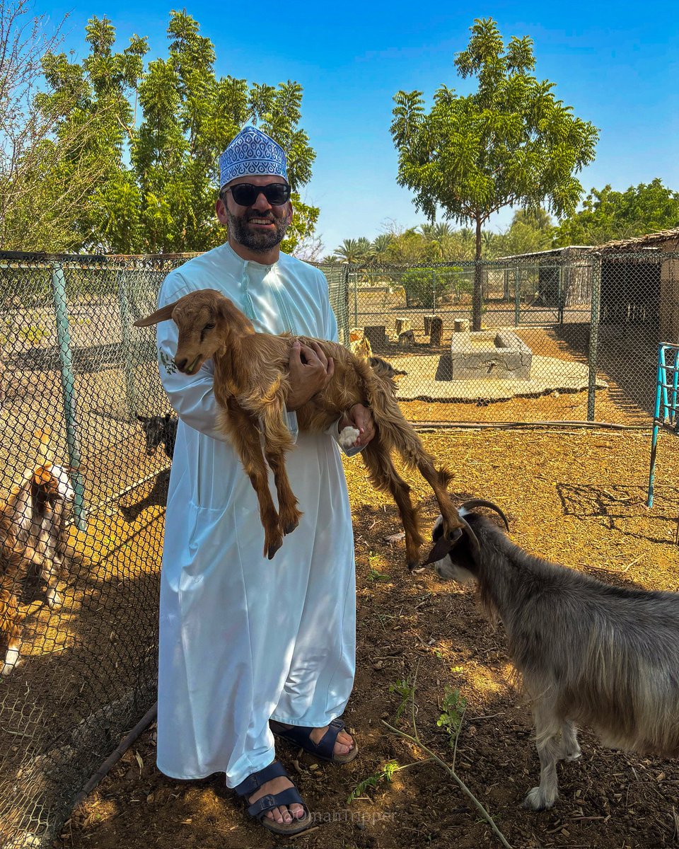 Ali | OmanTripper tweet media