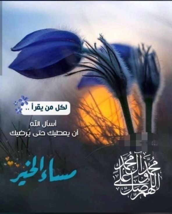 عبد الله الجابري (@boody1967) on Twitter photo 
