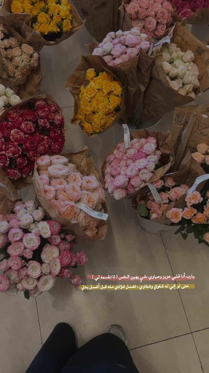 ليلىٰ | 🐆🖤 tweet media