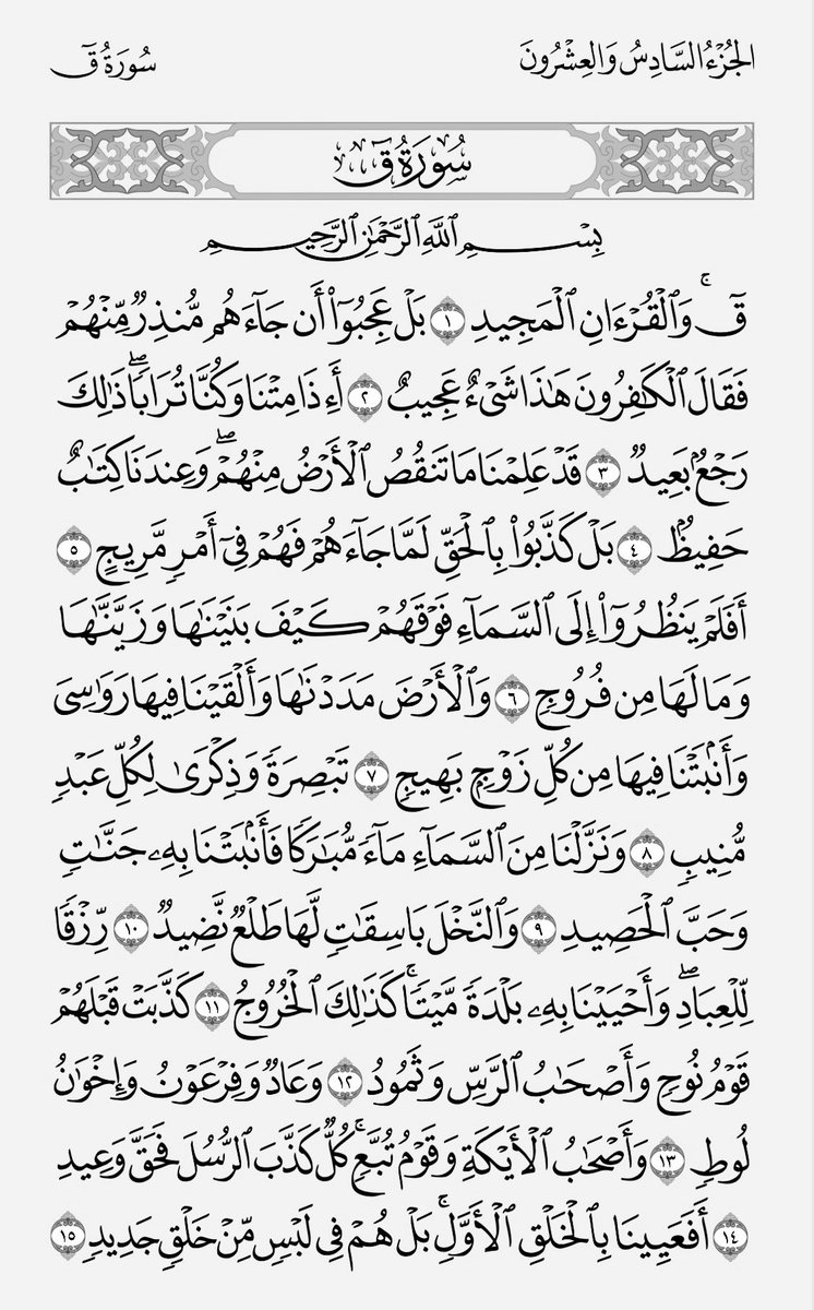 منبه الحوقلة tweet media