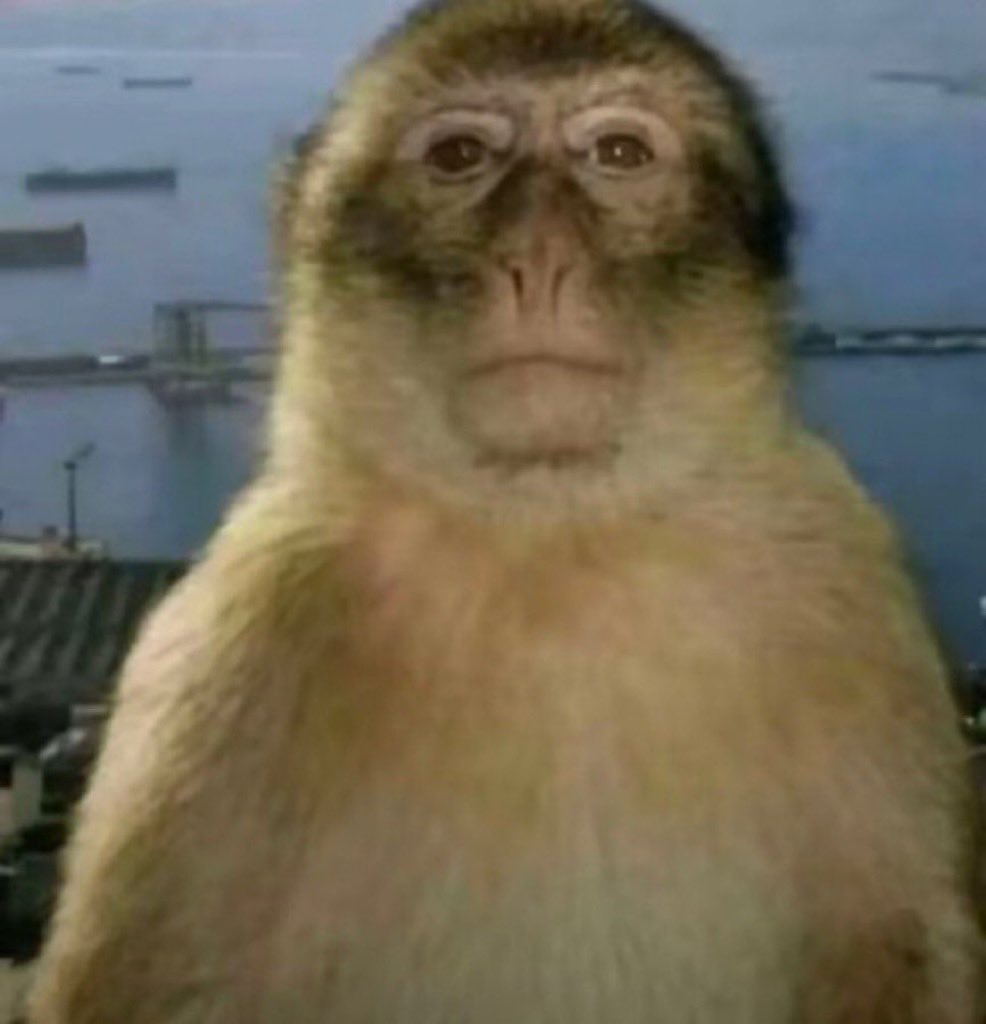 antoniocruxz's tweet image. Quando vc se sente mal por fazer o que todo mundo faz