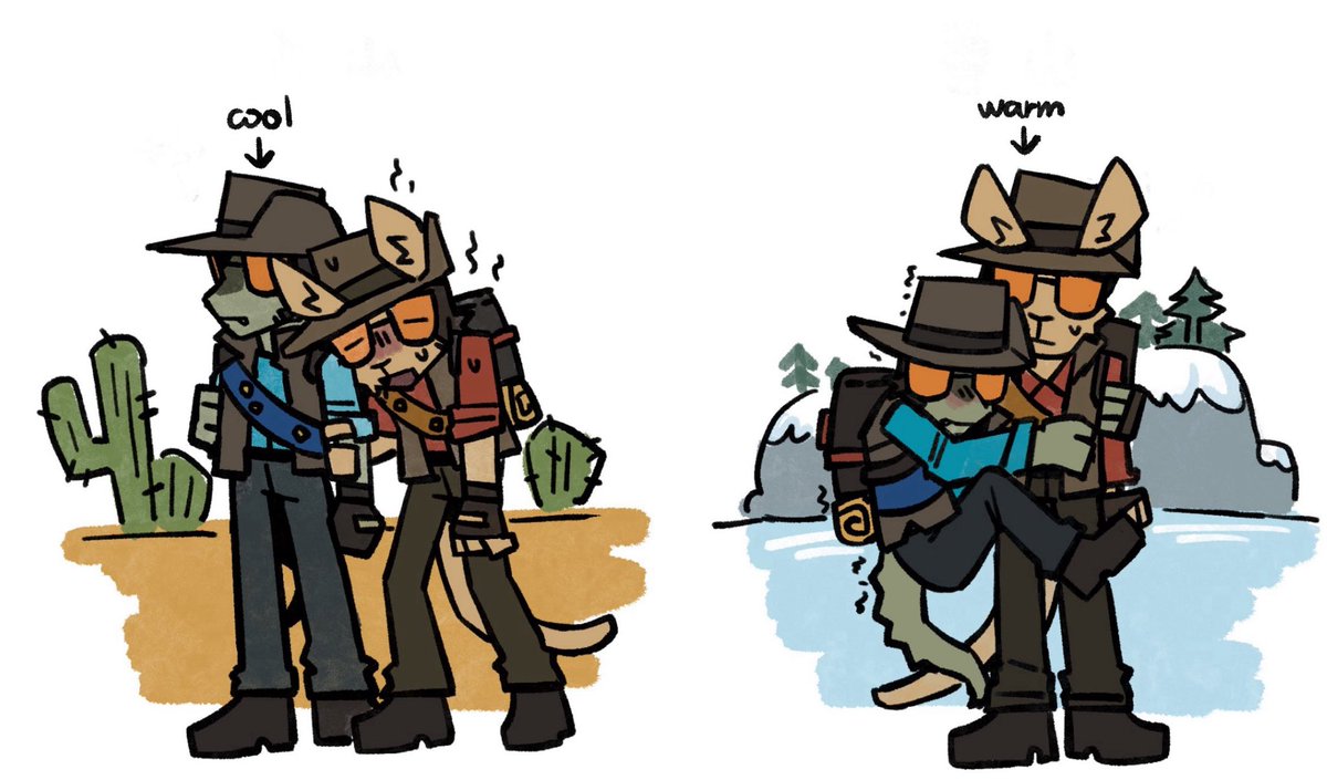 Daily Kangaroo Sniper tweet media