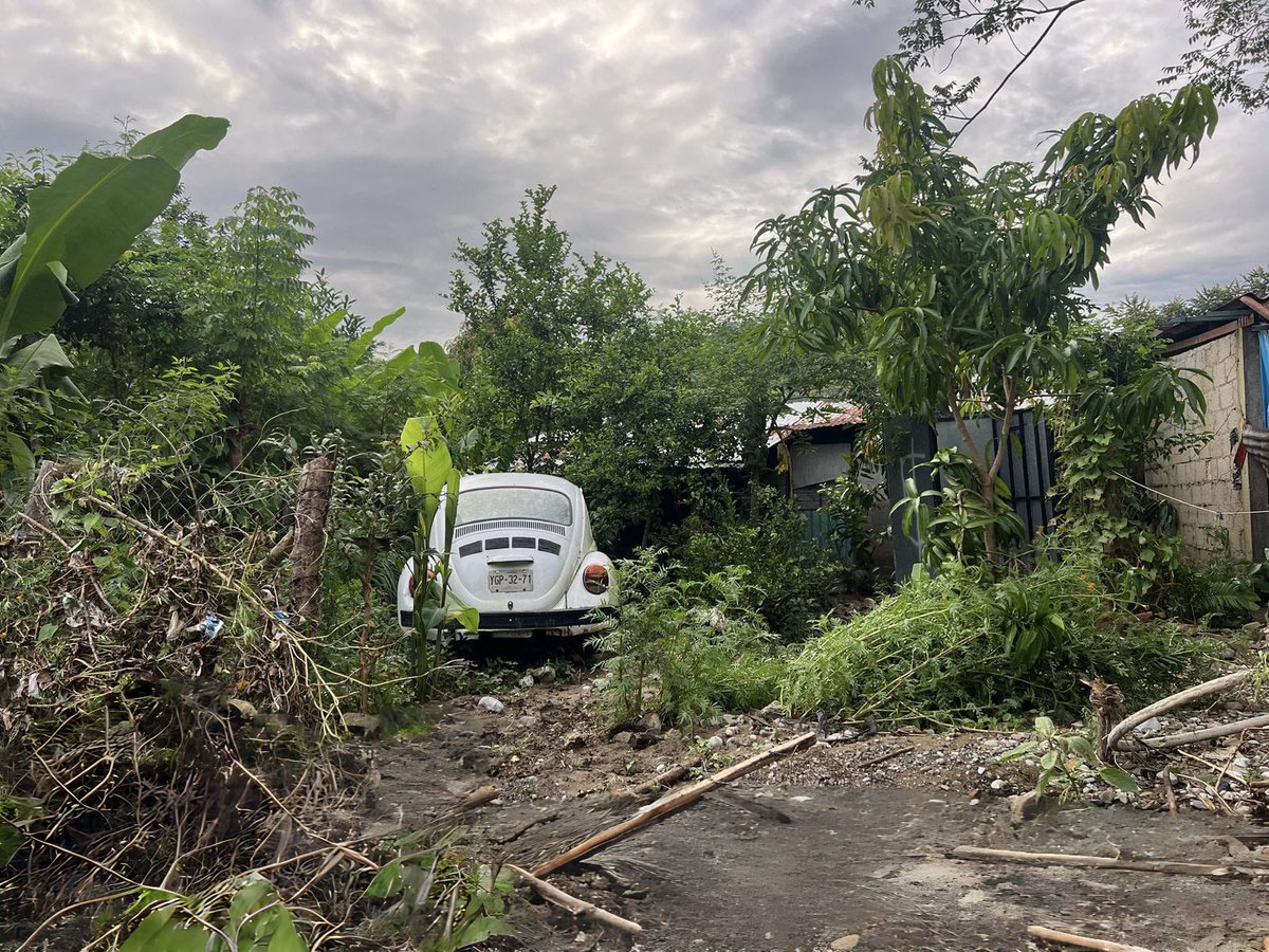 La <a href="/SEMAR_mx/">SEMAR México</a> informa que en #Huauchinango se han rescatado a un total de 535 personas, brindado 85 atenciones médicas, se despejaron alrededor de 13 vías de comunicación y casi 600 obstrucciones de árboles y espectaculares, la entrega de más de 200 despensas así como cobijas y