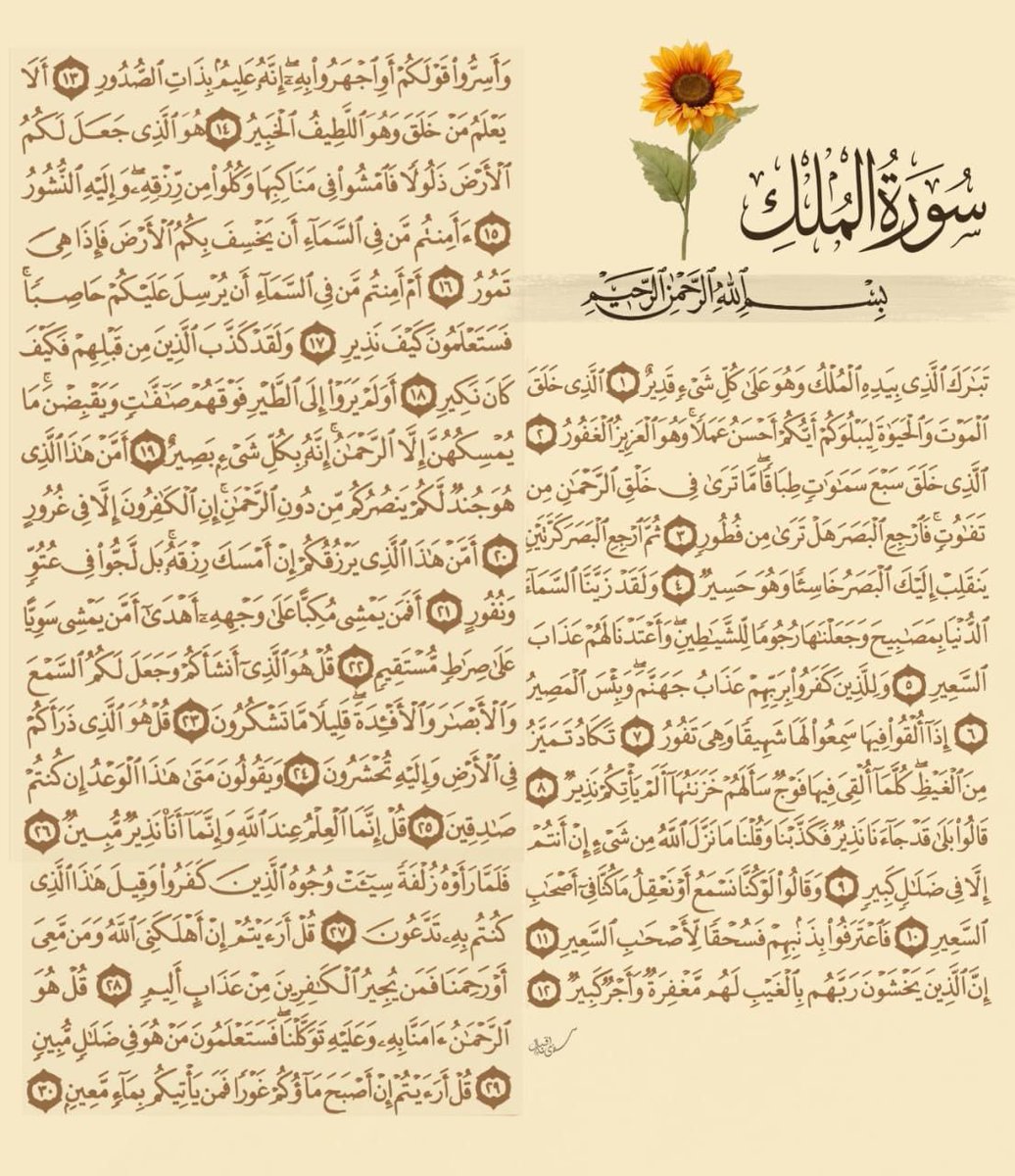 Reciting Surah Al-Mulk before sleep saves you from the punishment of the grave.
Imagine a surah spreading its wings like a flock of birds to shield you in darkness.
Now imagine you share this &amp; just one person acts upon it…
What could be more preserving than that?
سبحان الله 🤍