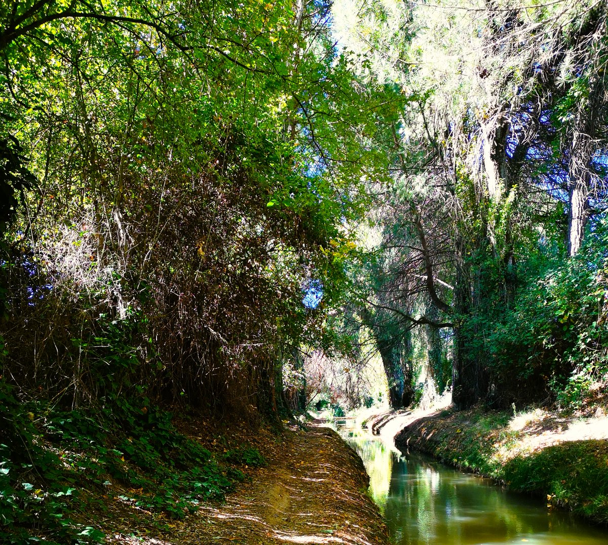 En mi blog, La Acequia, escribiendo desde hace diecinueve años ya: laacequia.blogspot.com/2025/10/diecin…