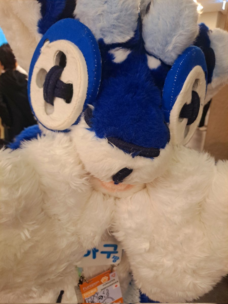 #퍼레이드2025 #Furraid2025