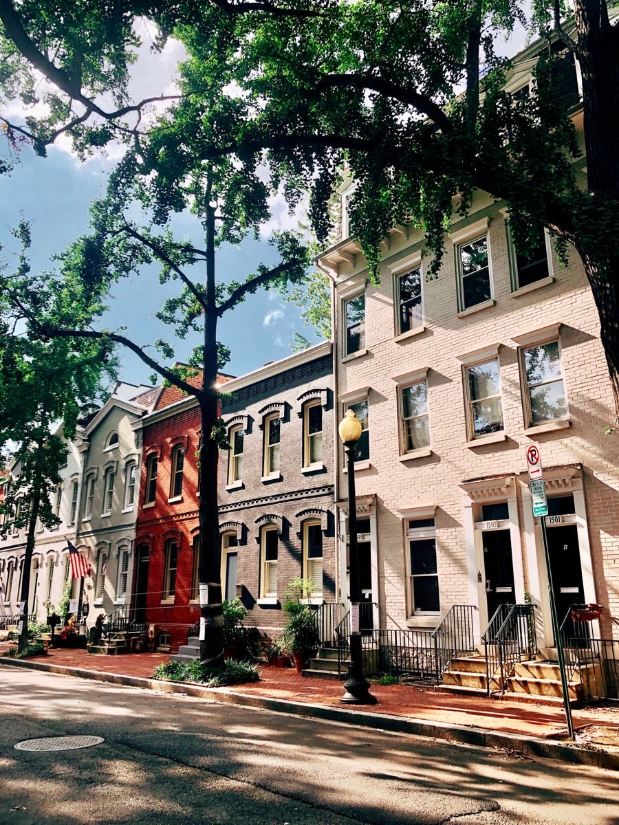 Alicia, Courtyard Urbanist tweet media