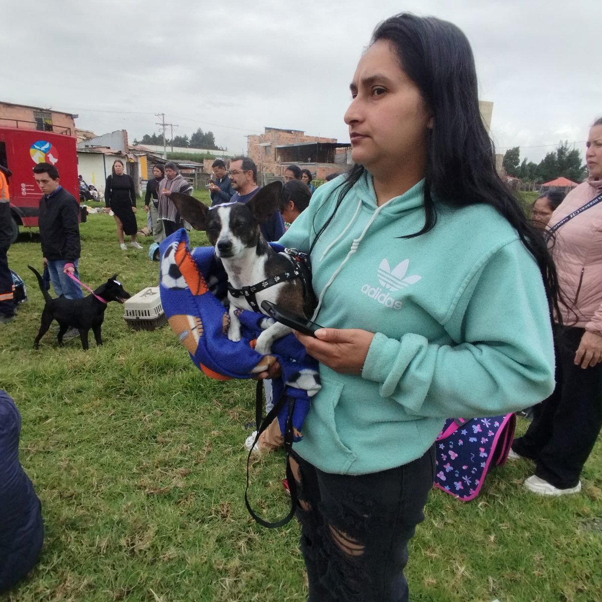 ipybac's tweet photo. ¡Gran logro! Seguimos recorriendo #Cundinamarca con la gira de bienestar animal, en Funza realizamos +150 esterilizaciones a caninos y felinos 🐶🐱. Mitigando sobrepoblación y fomentando cuidado responsable
#BienestarAnimal #Funza #IPYBAC https://t.co/0nAg2rbPBw