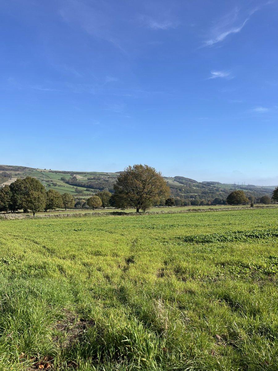 hikingshawty's tweet image. today i walked nine miles and i had a pulled pork sandwich with chips for dinner &lt;3