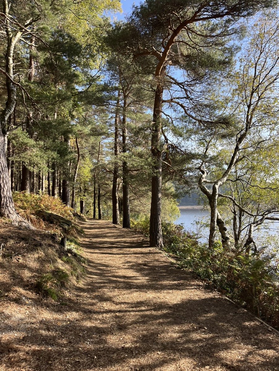 hikingshawty's tweet image. today i walked nine miles and i had a pulled pork sandwich with chips for dinner &lt;3