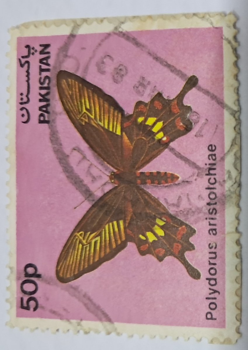 bashirahmed57's tweet image. Pakistan Stamps: Butterflies series
A flutter of beauty from Pakistan’s postal past
50 paisa stamp features the Polydorus aristolochiae, the elegant Common Rose butterfly a symbol of grace and tropical charm.
#Philately #PakistanStamps #ButterflyStamps #StampCollection