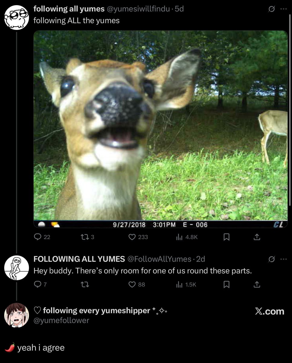 Tweet media one