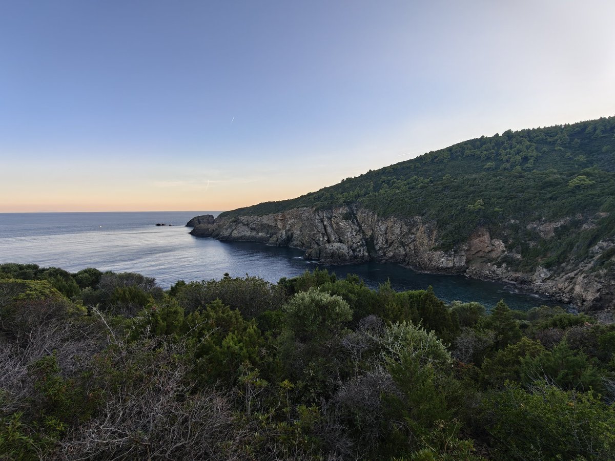 SpaceQuake tweet media