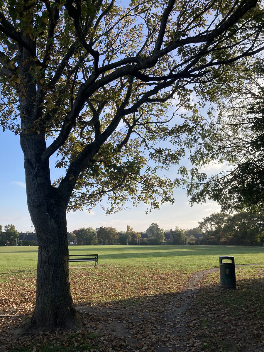 APegrum's tweet photo. I’ve not had much opportunity to be active this week for #NHS1000miles so only 8miles to report &amp; YTD 770miles. I am enjoying the beautiful colours of autumn though https://t.co/fCvmvD2t7n
