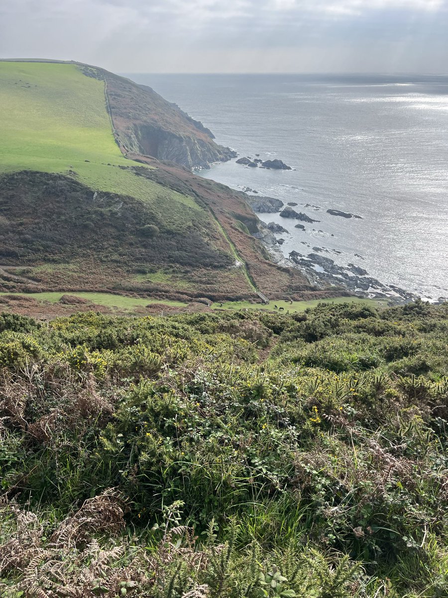 PolruanPilot's tweet image. My view at lunchtime today