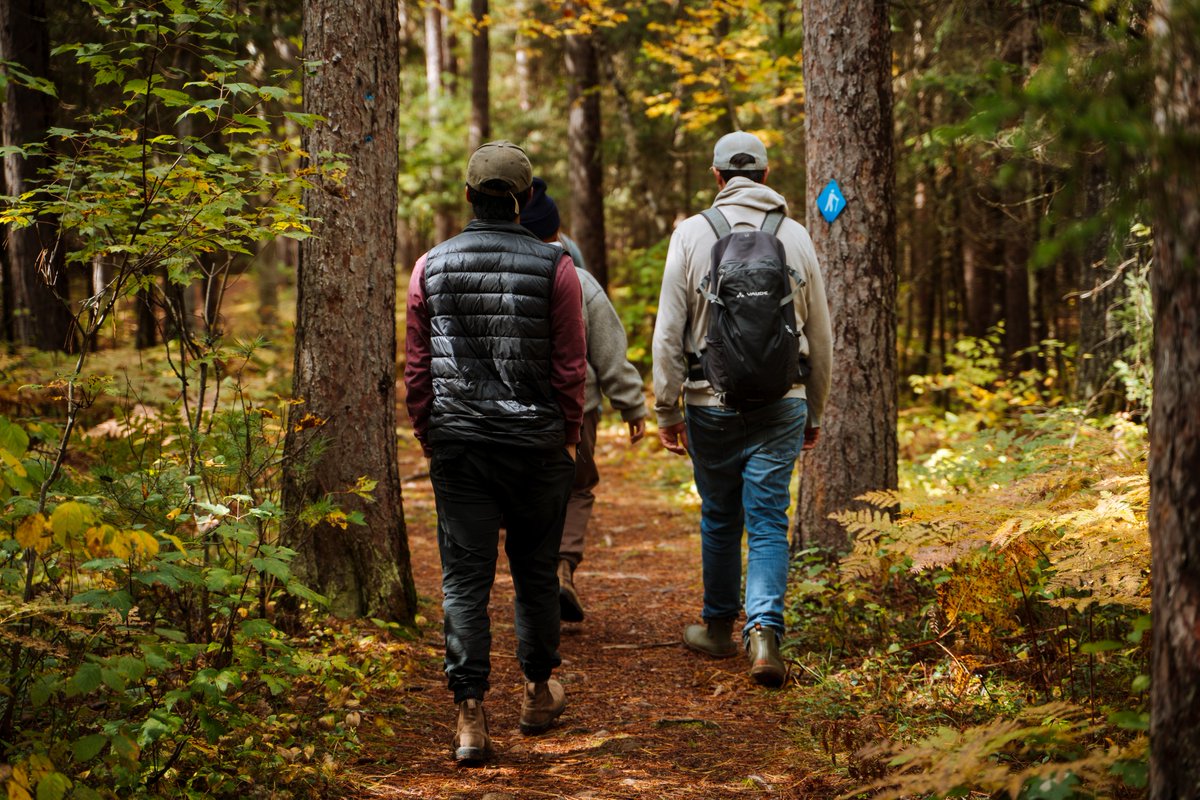 ParcsOntario's tweet image. Il est temps d’échanger la sieste post-dinde contre un sentier ! 🦃

Pourquoi ne pas dégourdir tes jambes avec une randonnée après le festin ? La nature est le remède parfait contre l’excès de farce : bit.ly/4b1jGvP

#SPSP