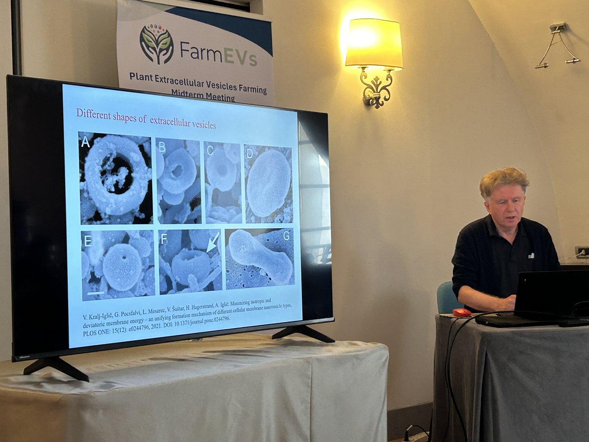 FarmEVs's tweet photo. Prof. Ales Iglic from LjubljanaUNI giving inspiring presentation about EV's physical properties at #FarmEVs midterm meeting in Napoli. #extracellularvesicles https://t.co/JVtB4vmwR6