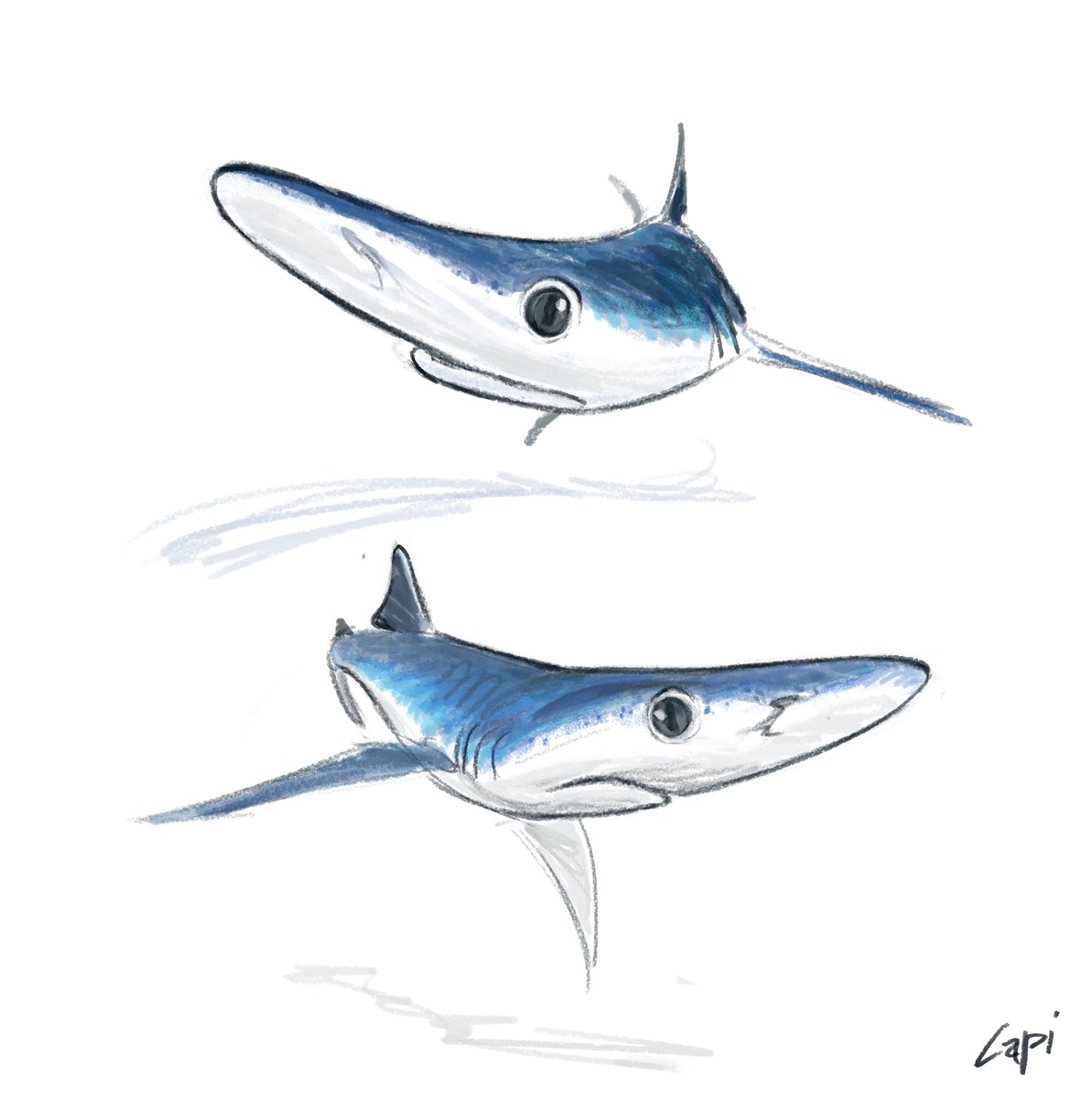 Curious friends