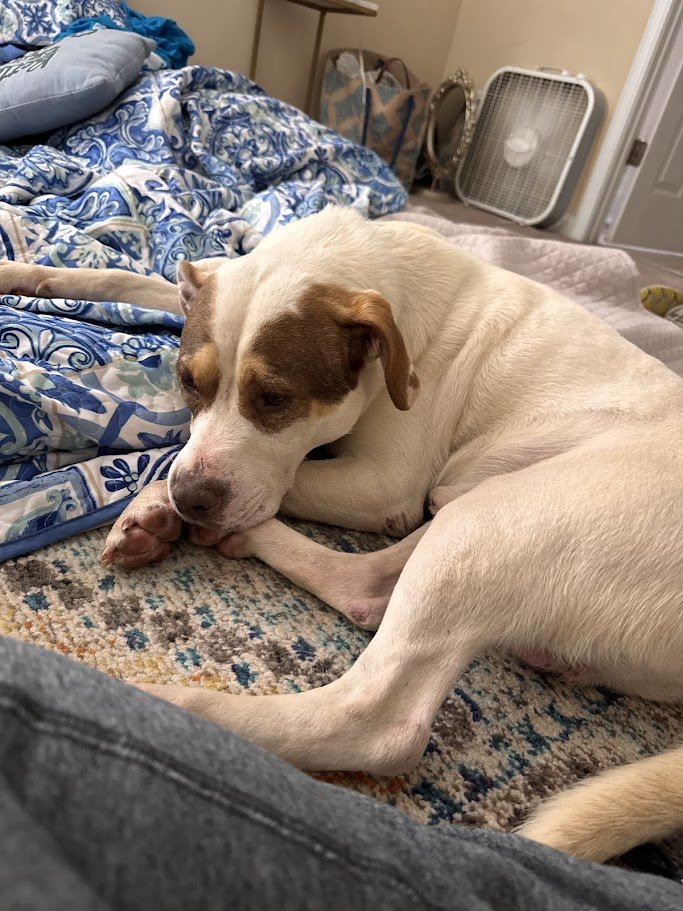 nebbiiee | hana :) tweet media