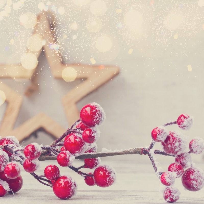 Breda Murphy tweet media