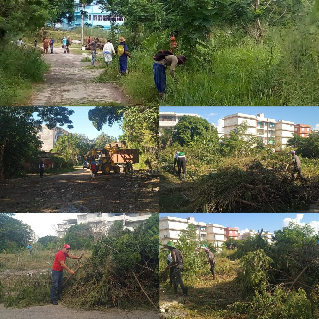 Se realizó jornada de trabajo voluntario en el municipio Habana del Este, los organismos y la población por una ciudad más bella.
#LaHabanaViveEnMí 
#LaHabanaDeTodos