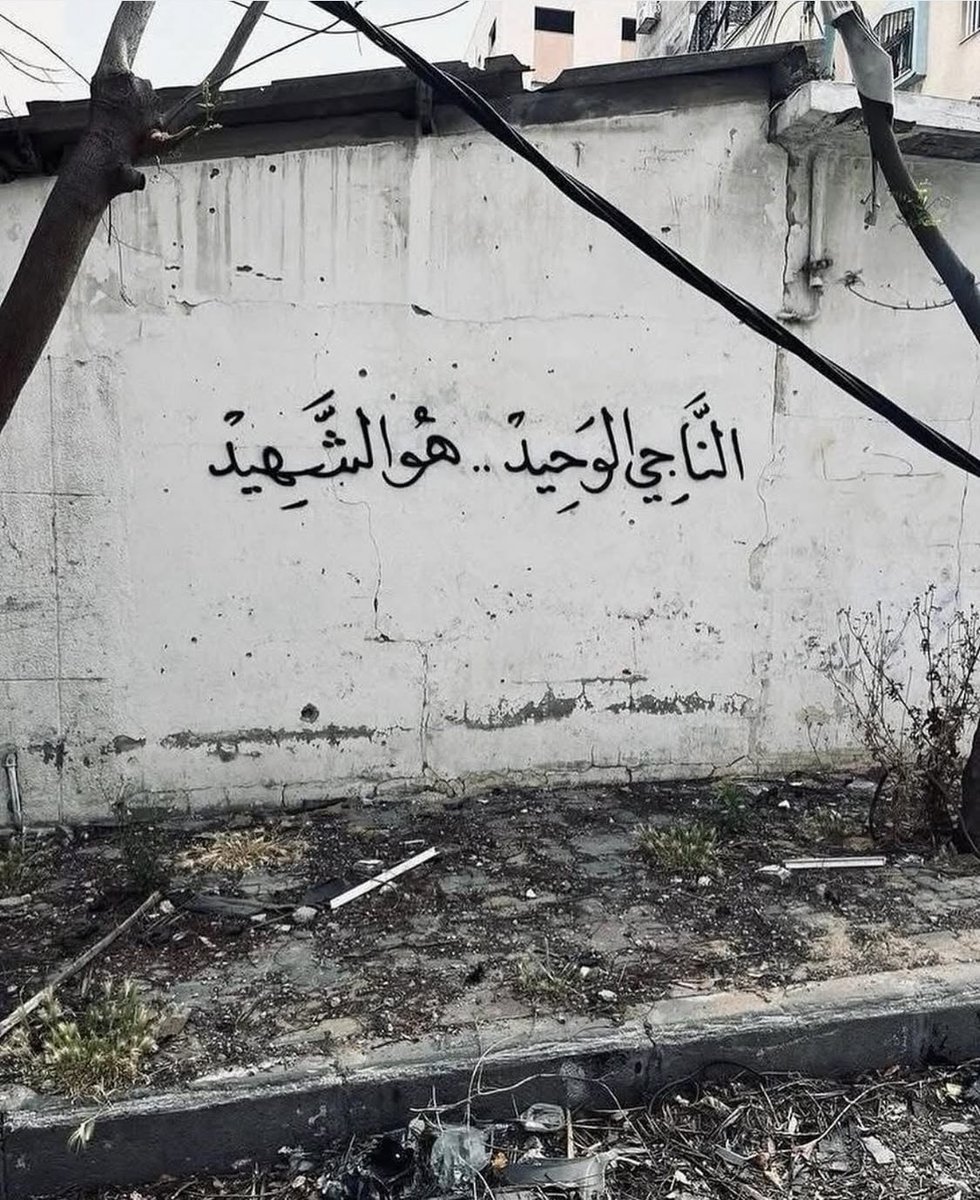 Asmaa Alhriri (@asmaaalhriri) on Twitter photo 