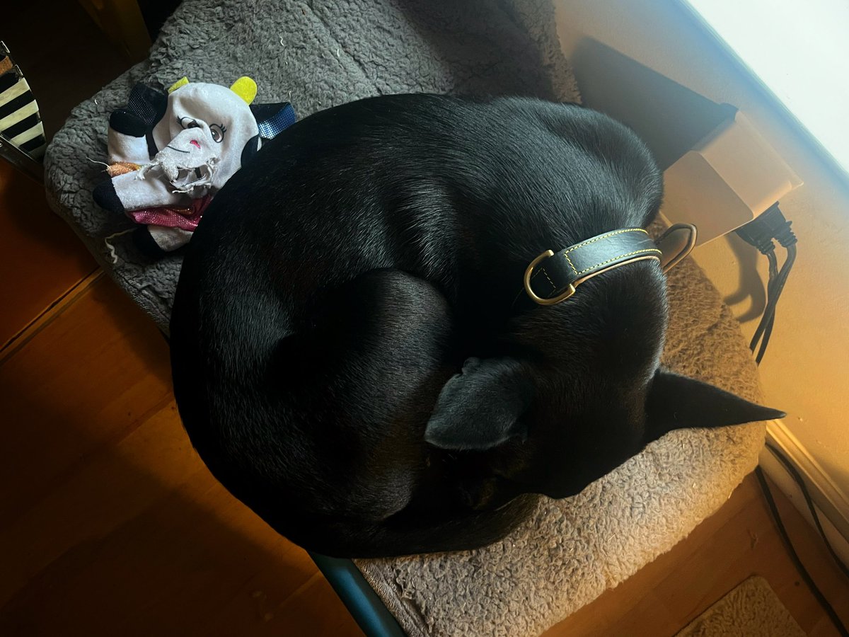 John Stortz tweet media