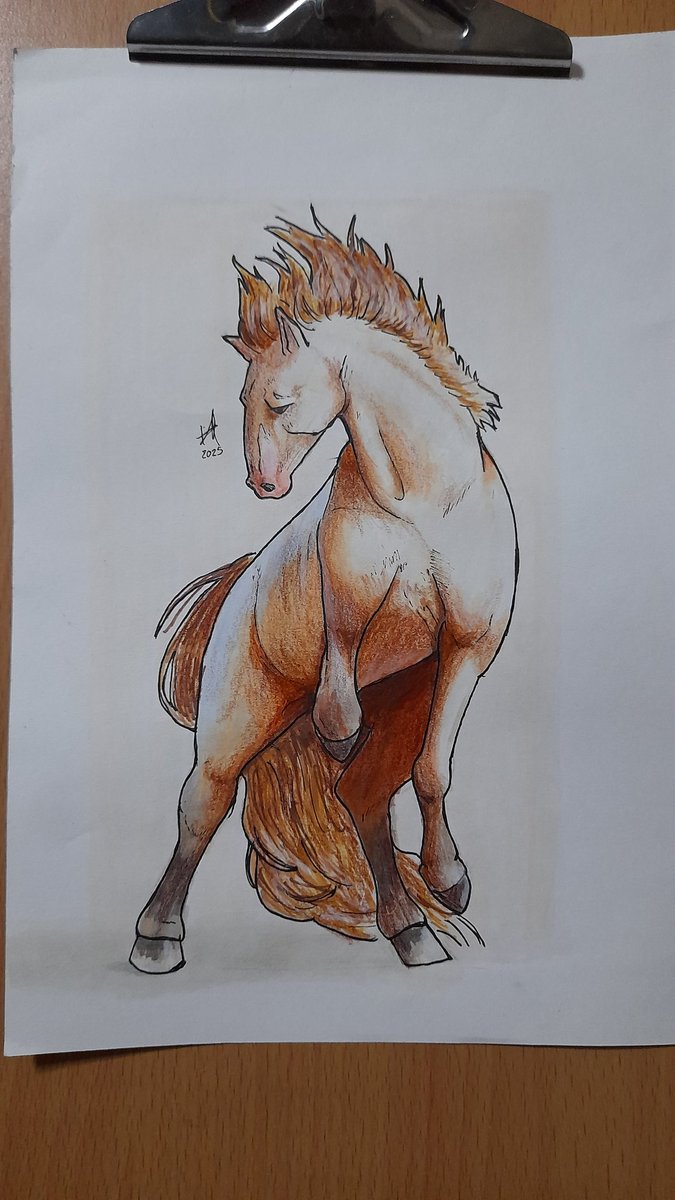I just remembered that I also know how to draw in traditional