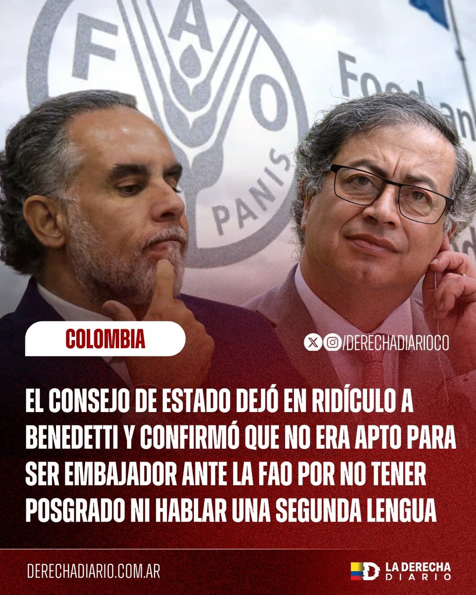 DerechaDiarioCO's tweet image. 🚨🇨🇴 | El Consejo de Estado dejó en ridículo a Armando Benedetti, hoy ministro del Interior: Confirmó que no es apto para ser embajador ante la FAO porque no tiene posgrado, no habla un segundo idioma y llegó al cargo por puro clientelismo. Un burro con corbata del régimen Petro.