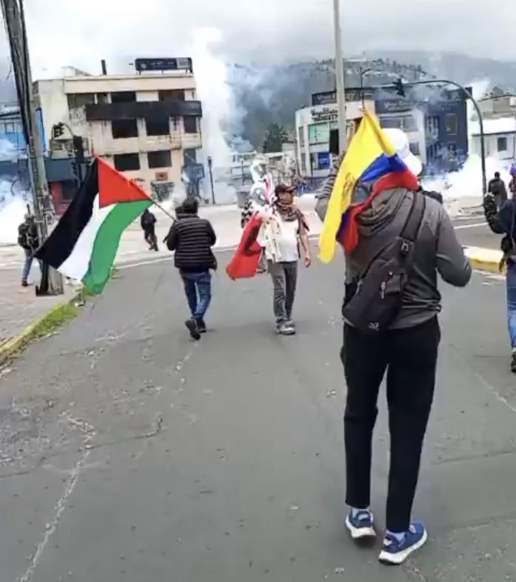 ElTioRobolucion's tweet image. ¿Enserio esta protesta es de la comunidad indígena? Porque los indígenas jamás alzarían la bandera de un país lleno de Terr0ristas gen0cidas.
Esto demuestra una vez que detrás de estas protestas, están metidos los correistas. Ya no tengas dudas….