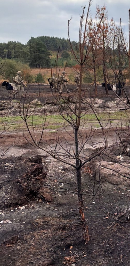 DraigCop tweet media