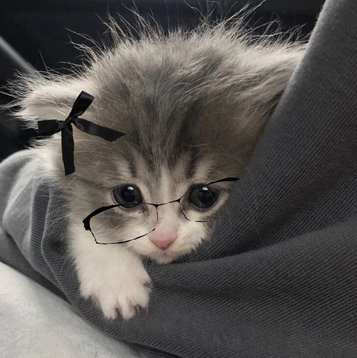 ☆Марципанові хмари☆ tweet media