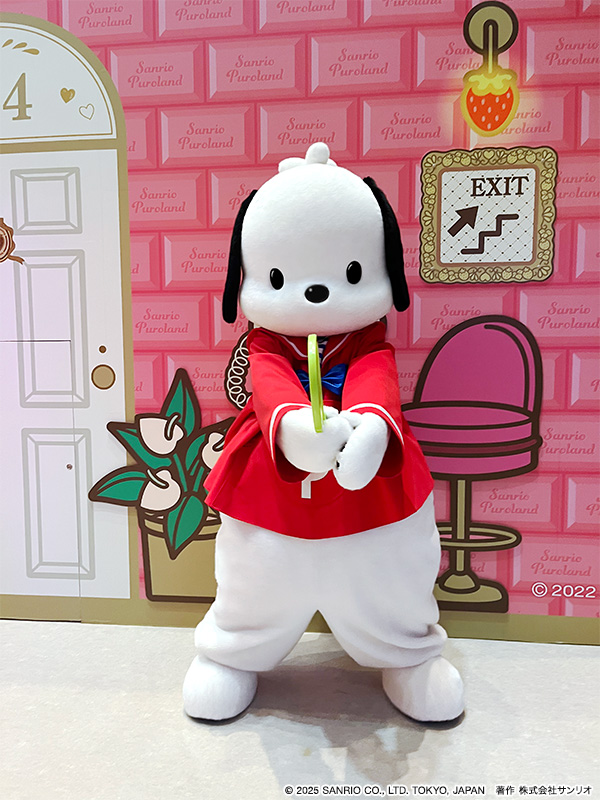 purolandjp's tweet image. 10月13日(月・祝)は
#スポーツの日⚽🥋
テニスの練習をしていた
ポチャッコをお届け🎾✨
みなさんはポチャッコと
どんなスポーツをしたいですか?🏀🛹
リプライで教えてね♪