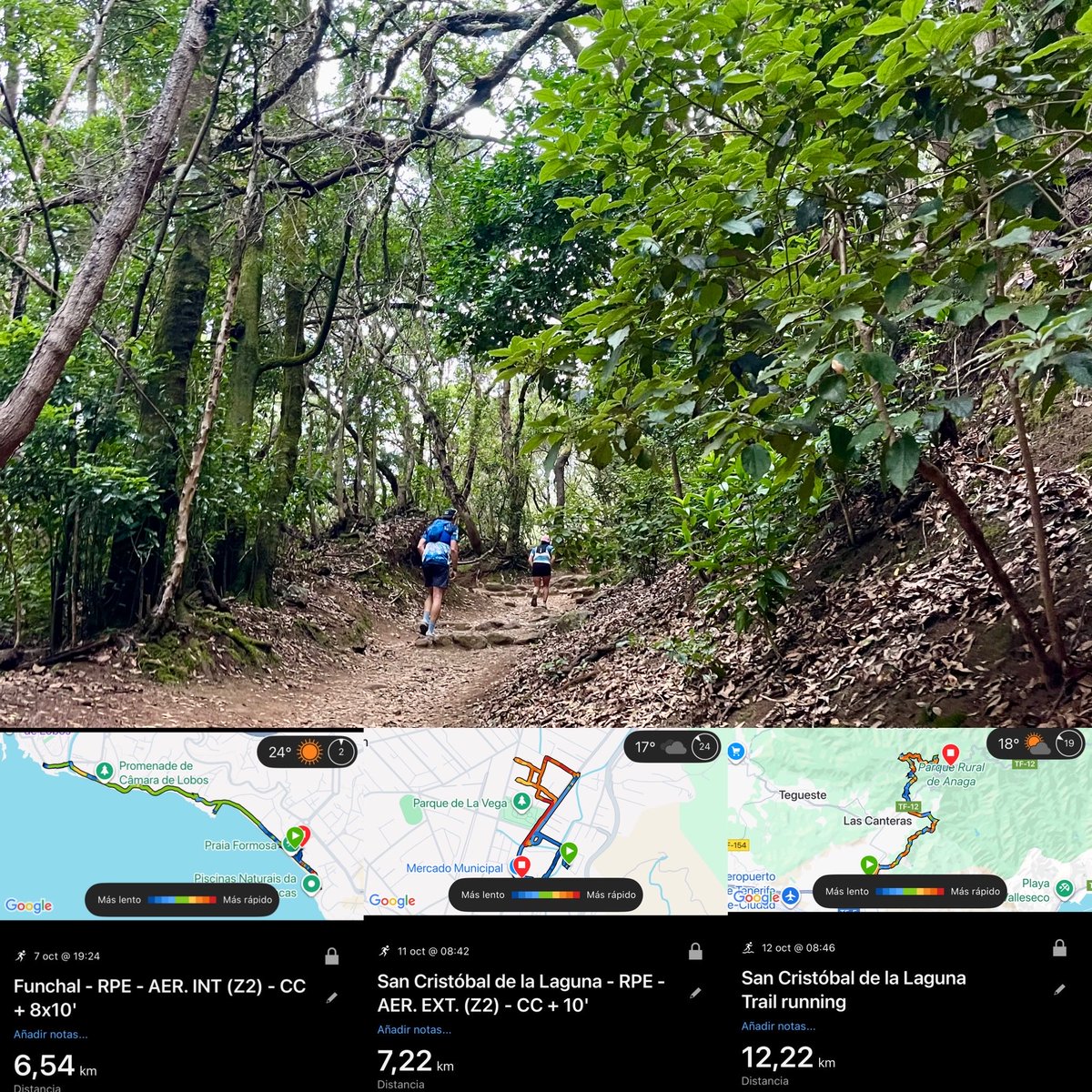 Sumamos esta semana 25,98k para <a href="/KMSxELA/">KMSxELA</a> y cerramos el día en Anaga que es un seguro de recargar pilas y acumular tropiezos en el camino 😅 Tocan unos días de calma y recuperación. Quién dijo miedo? A por el lunes que vamos 🏔️🏃🏽‍♀️‍➡️✨