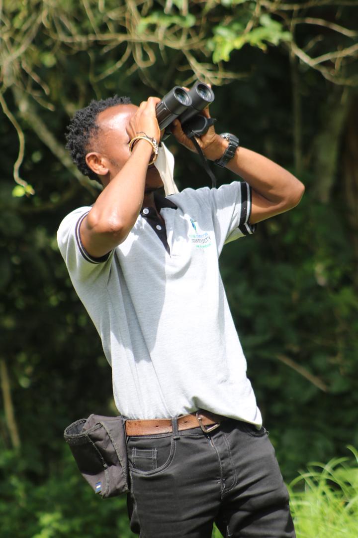 Avian Conservation Uganda tweet media