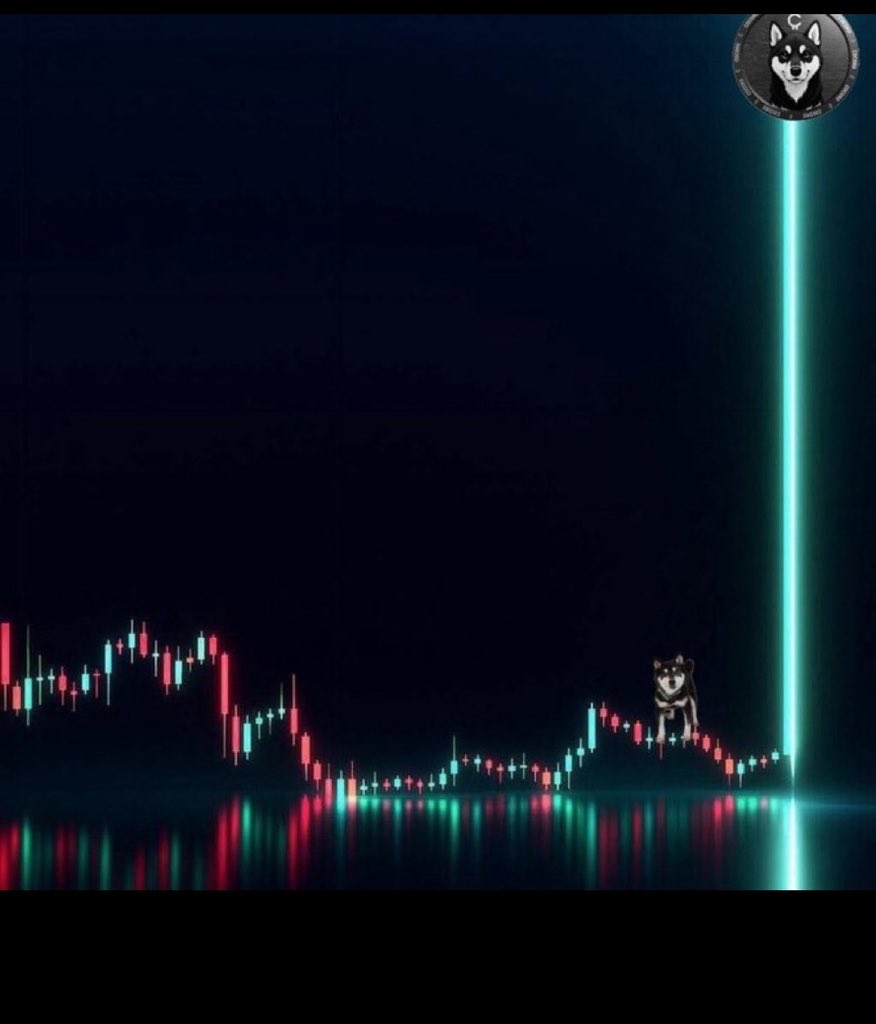 cto1bmcap's tweet image. $Cocoro @BlackShib_DOGE to the moon
when Biconomy cex will list Cocoro 😀