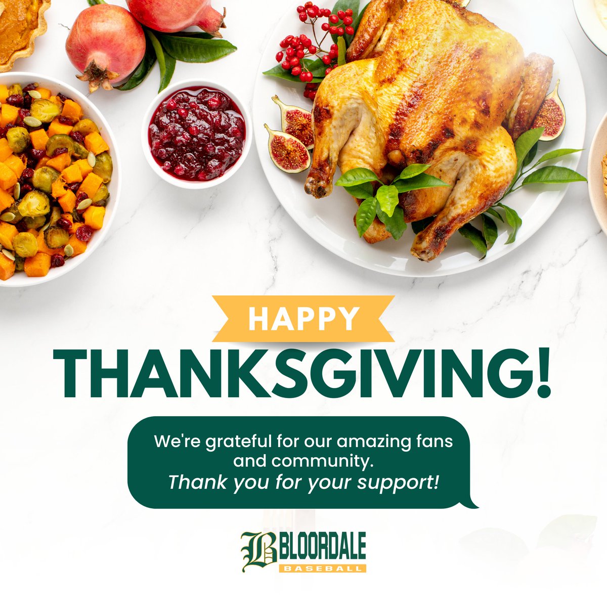 Happy Thanksgiving! Today, we celebrate connection, gratitude &amp; the amazing spirit of our players, fans &amp; volunteers. Your support keeps the game alive &amp; our community strong!

Thank you for being part of the Bloordale family!

#Thanksgiving2025 #GratitudeSeason #BloordalePride