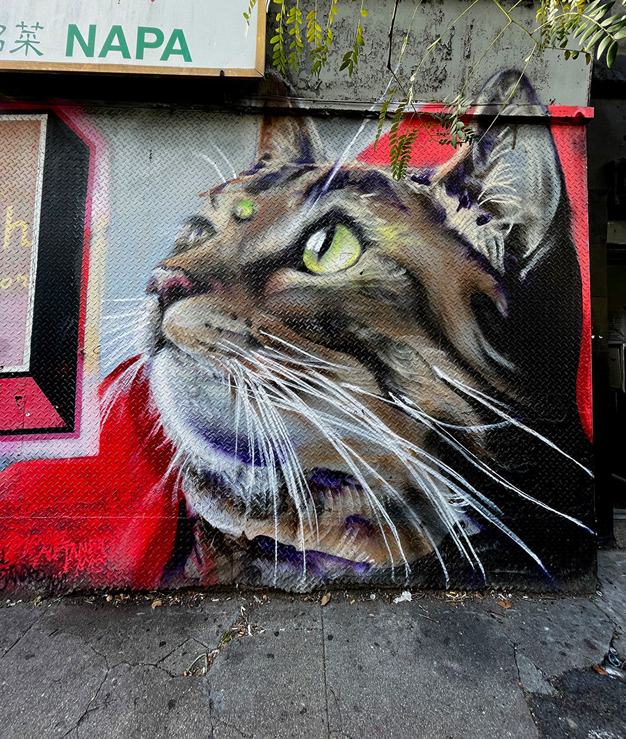 BKStreetArt's tweet image. BSA IMAGES OF THE WEEK 10.12.25

brooklynstreetart.com/2025/10/12/ima…

Manuel Alejandro. (photo © Jaime Rojo)