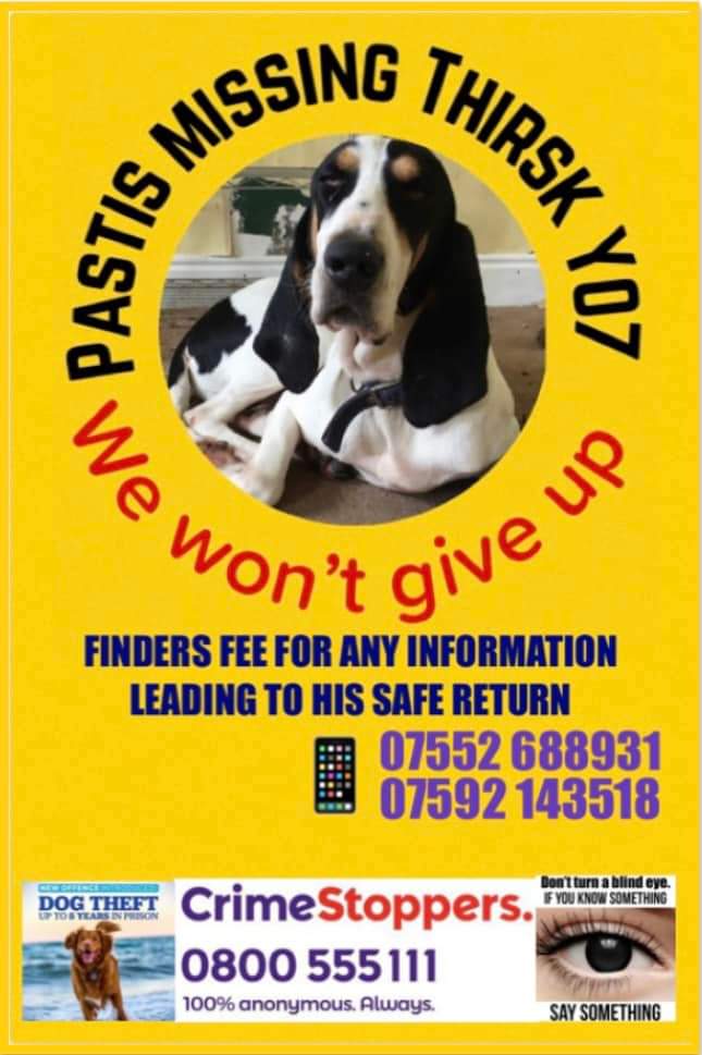 MissingPetsGB's tweet image. 🐕 PASTIS still #missing
Have you, a friend, family, neighbour, work colleague seen, bought or been offered #missing PASTIS since Dec 2021? please contact findpastis@gmail.com Finders fee offered
Pastis vanished from his garden in #Thirsk #YO7 8/12/21 #stolendoghour
