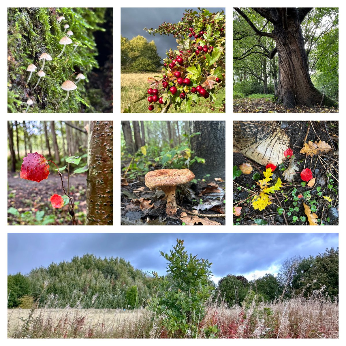 Jay Up North tweet media