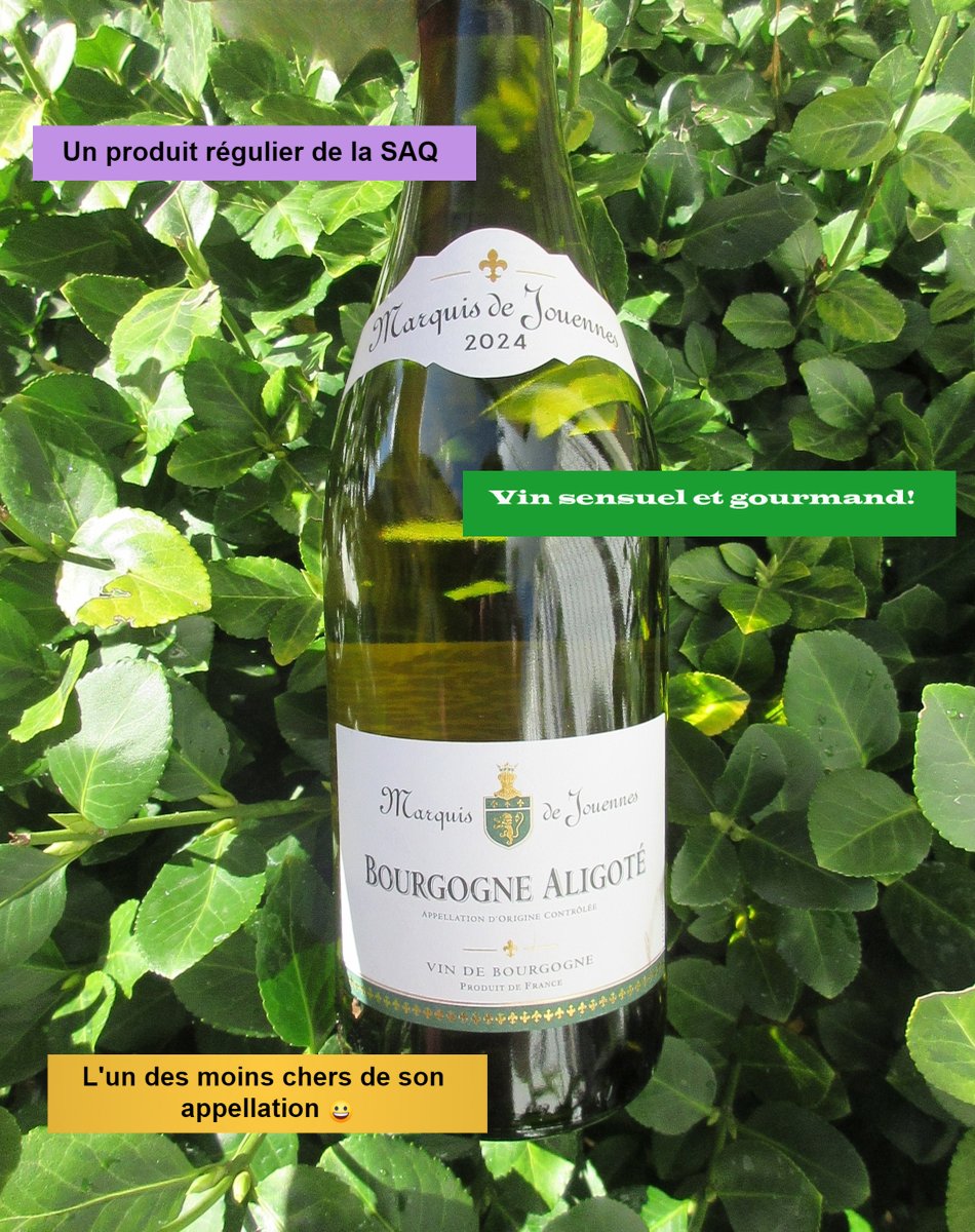 .
Un vin simple et bien fait à tous points de vue, très représentatif de son appellation   ➡️   bit.ly/4nNtTm3
.