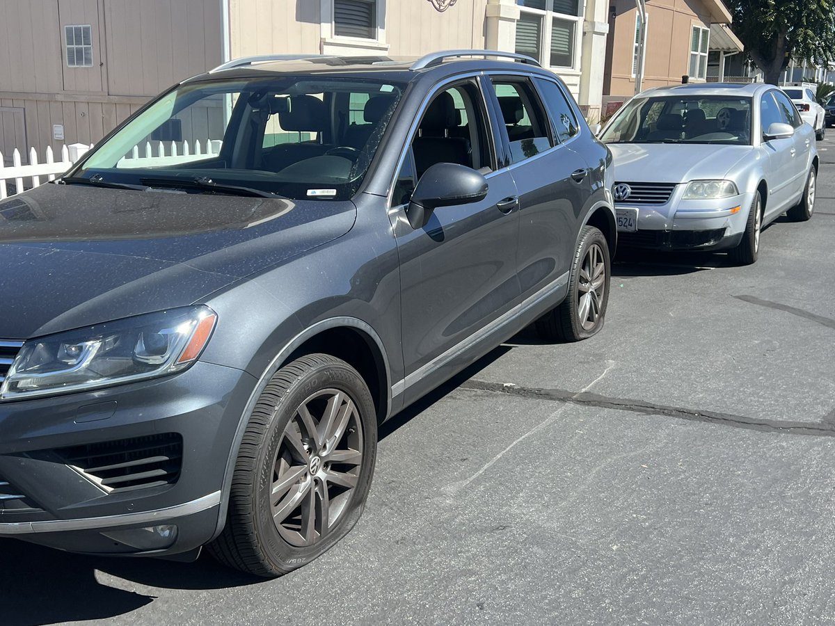 Tremorwolf tweet media