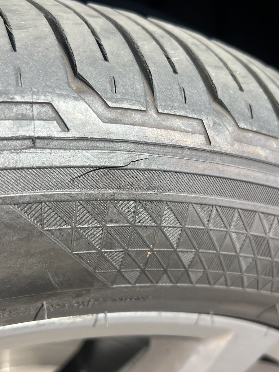 Tremorwolf tweet media