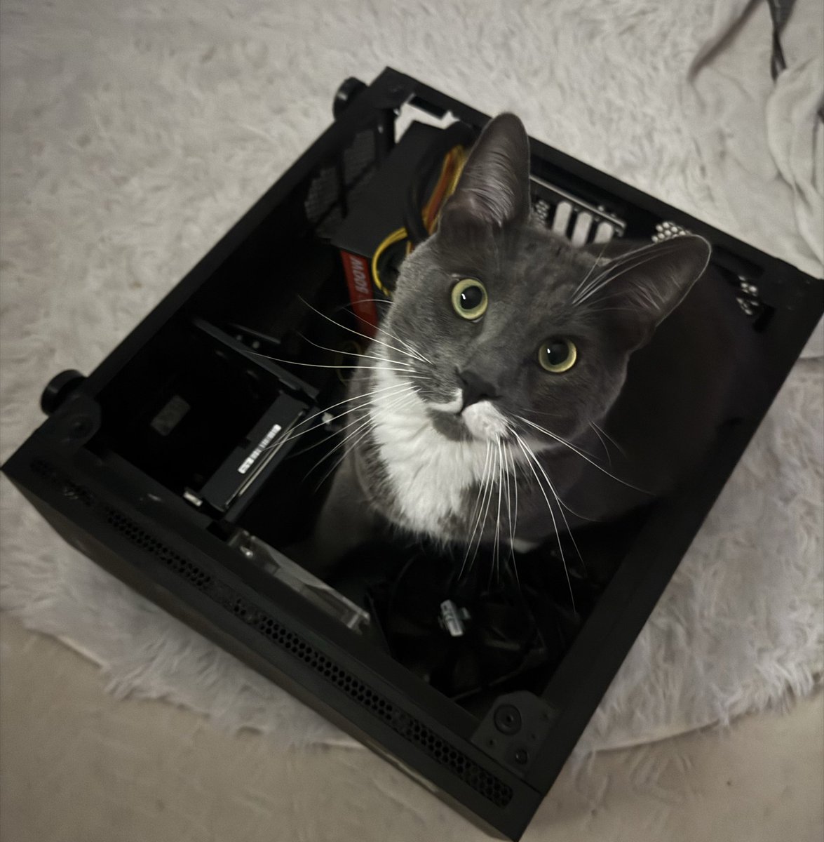 never hiring a pc expert again look who they sent.. https://t.co/qjQSHrOCDB
