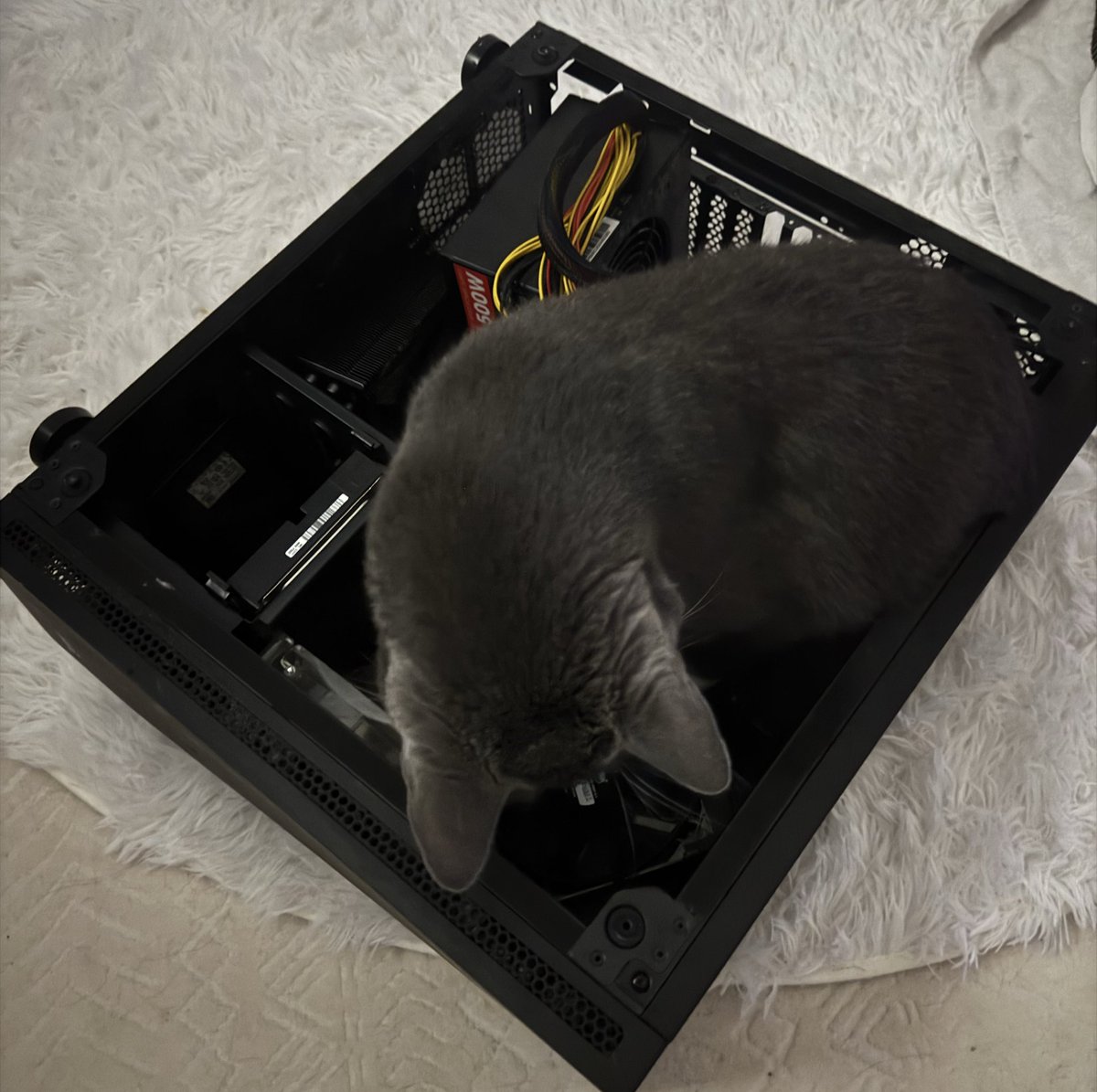 never hiring a pc expert again look who they sent.. https://t.co/qjQSHrOCDB