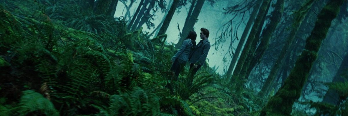 archivetwilight's tweet photo. twilight (2008) https://t.co/tJdv54wCwr