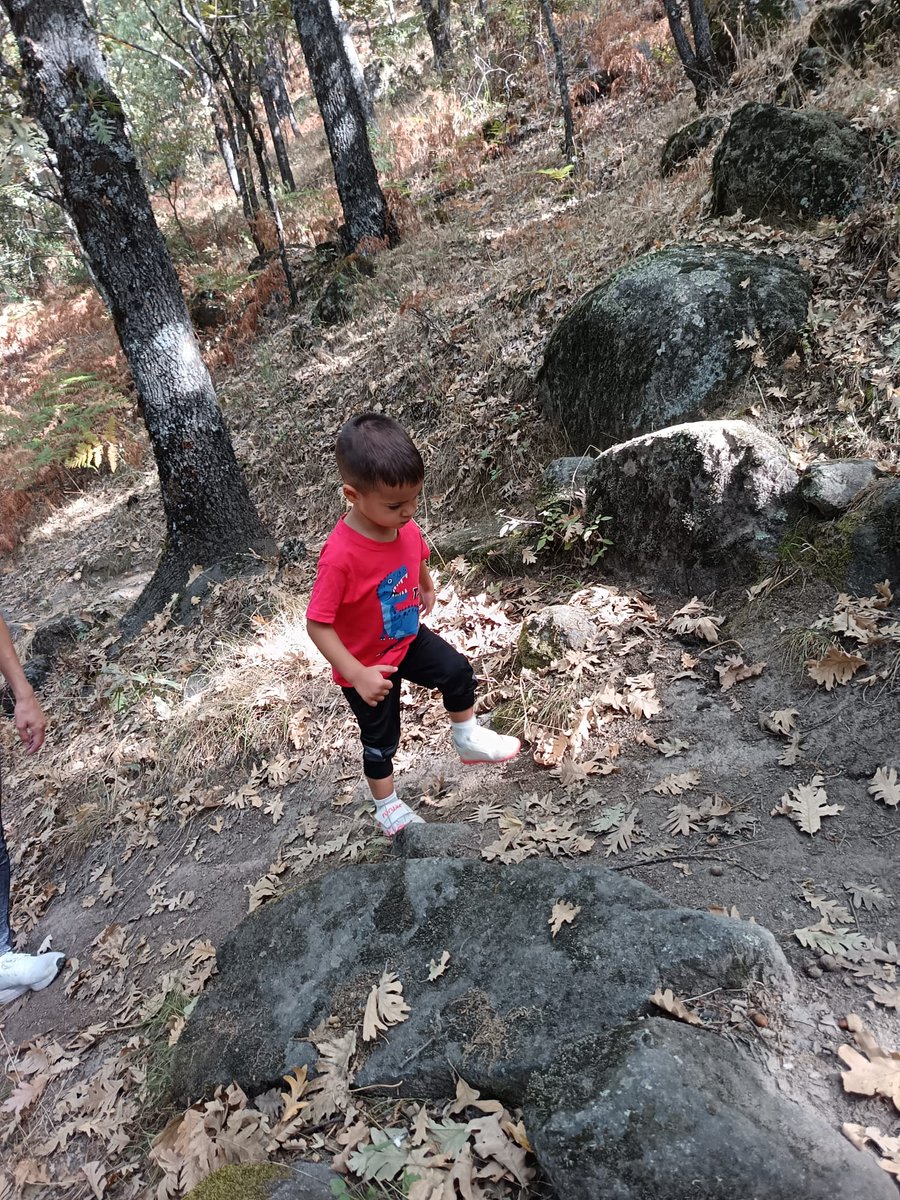 cristofer2206's tweet photo. Hola !!
A partir de que edad se puede hacer la carrera @CxMGargdelosInf ?
Hoy mi hijo de dos años ha querido hacer un poquito trail por vuestros senderos ... 🤤❤️🏃🏾‍♂️ https://t.co/9RoHtc2Qzq